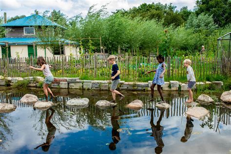 De Muzikale Tuin: Een Mysterieuze Harmonie van Kleuren en Vormen!